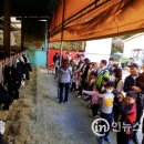 원아목장 이미지