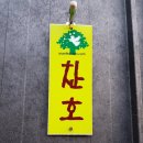 엔젤코바 이미지