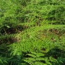 황제농장2 이미지