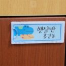 디자인 판