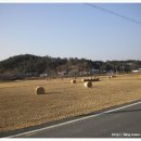 갈숲마을 이미지