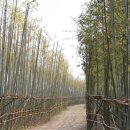 낙동강하천공원주차장 이미지