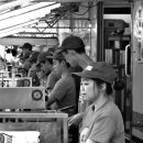 이리번역행정사사무소 이미지