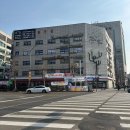 PT국대들 이미지