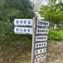충남 세종시 가볼만한 곳 ... 금강수목원 메타쉐콰이어 황토맨발길 ~