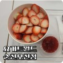 요거트월드 과일 폭탄 아이스크림 내돈내산 솔직 후기 차라리 젤라또를 먹자 순천오천점