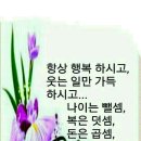 다섯손가락 이미지
