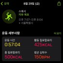 8월 안녕