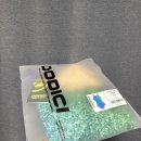 도디치 | 디자인과 기능성을 겸비한 도디치 피오레 포일 수영복 착용 후기