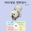 댕글댕글유치원 이미지