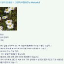 다미옷수선