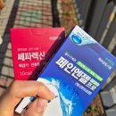 우리민들레약국 | 260401-10 지금도 예뻐요