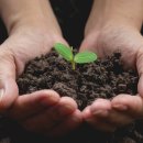 농업회사법인 투엠바이오(주) 이미지