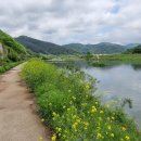 사천강길 이미지