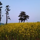 그린힐민박 이미지