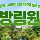 방림원 식물원 이미지