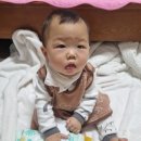 비아르떼 이미지