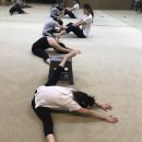 더엘리듬체조