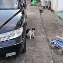 구산면보건지소 이미지