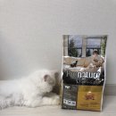 현미프로헤어 이미지