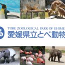 동물원 가는 길 이미지