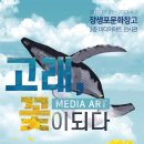 하이고래 이미지