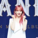 설아 카카오 검색결과