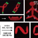 수화