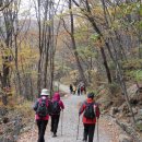 지리산 피아골 산행 (직전마을~피아골 삼거리) 이미지