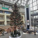 크리스마스 트리 | 삿포로 팩토리 크리스마스 트리 후기｜겨울 감성 가득한 로비·쇼핑