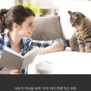 운정힐링동물병원 이미지