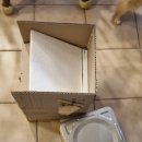 한국한약 | 미국 -> 한국 한약배송 후기