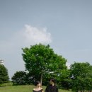 계*탁* | 마포 노을공원 야외스냅 솔직후기 ,주차정보 with 진수담스냅(+6월 촬영팁)