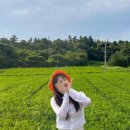 아이스크림스토리서귀포 이미지