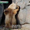 진위현길 이미지