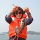 (주)황금바다 이미지