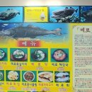 신거평