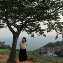 현주네민박 이미지