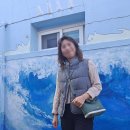 구름다리명가 | 겨울 제주도 여행 옷차림, 가볼만한 일정, 소요경비 정리(7일간 혼행)