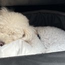 아이조아 요양보호소 서울점 이미지