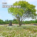 서부농업기술센터 | 제주 한림 가볼만한곳 서부농업기술센터 제주도 5월 꽃구경