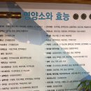 이재화동충하초 이미지