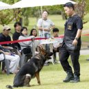 올바른 반려견 보호자 교육 이미지