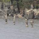 궁평펜션 이미지