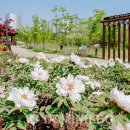 고인돌공원 도민일보
