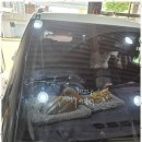 우성자동차 이미지