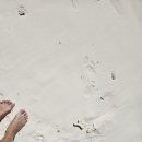 호텔 더 시스타 이미지