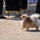 이천공설운동장 이미지