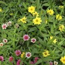 북수리그집 이미지