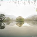 연지못 티스토리